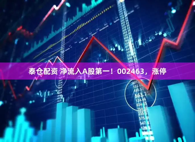 泰仓配资 净流入A股第一！002463，涨停