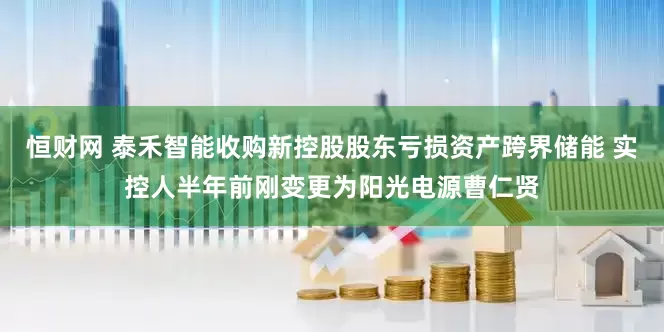 恒财网 泰禾智能收购新控股股东亏损资产跨界储能 实控人半年前刚变更为阳光电源曹仁贤