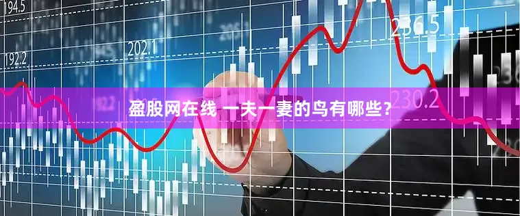 盈股网在线 一夫一妻的鸟有哪些？