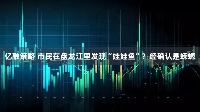 亿融策略 市民在盘龙江里发现“娃娃鱼”？经确认是蝾螈
