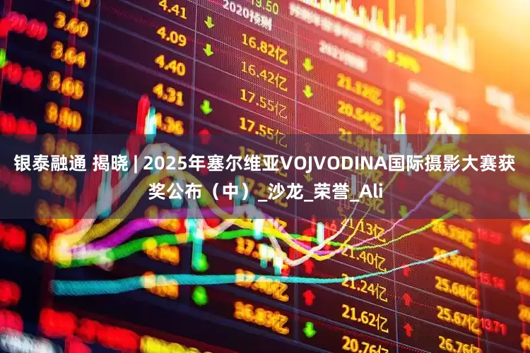 银泰融通 揭晓 | 2025年塞尔维亚VOJVODINA国际摄影大赛获奖公布（中）_沙龙_荣誉_Ali
