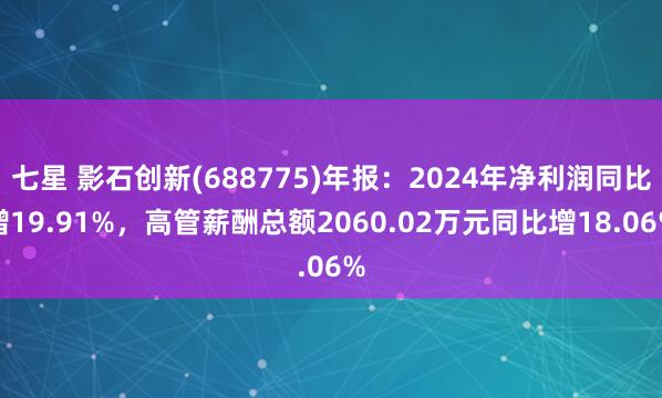 七星 影石创新(688775)年报：2024年净利润同比增19.91%，高管薪酬总额2060.02万元同比增18.06%