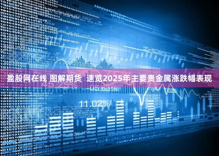 盈股网在线 图解期货  速览2025年主要贵金属涨跌幅表现
