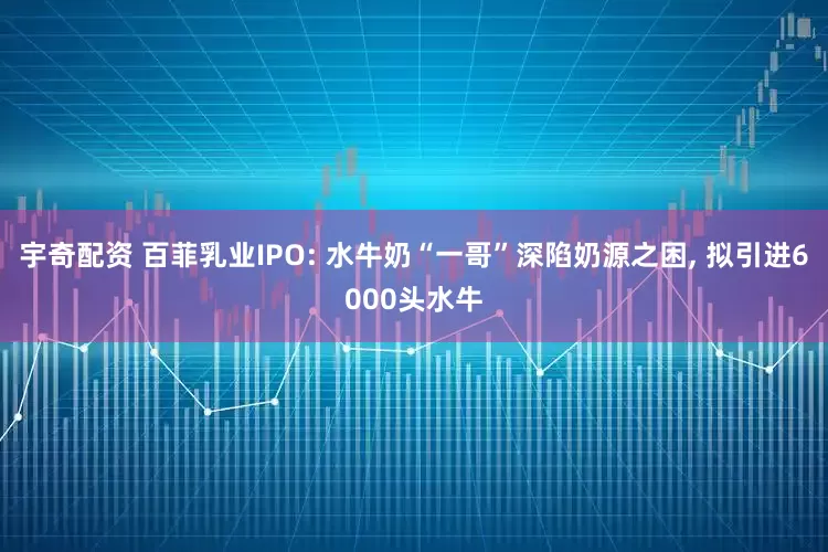 宇奇配资 百菲乳业IPO: 水牛奶“一哥”深陷奶源之困, 拟引进6000头水牛